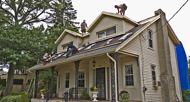 Best Roof Maintenance Services  in Denver City, TX