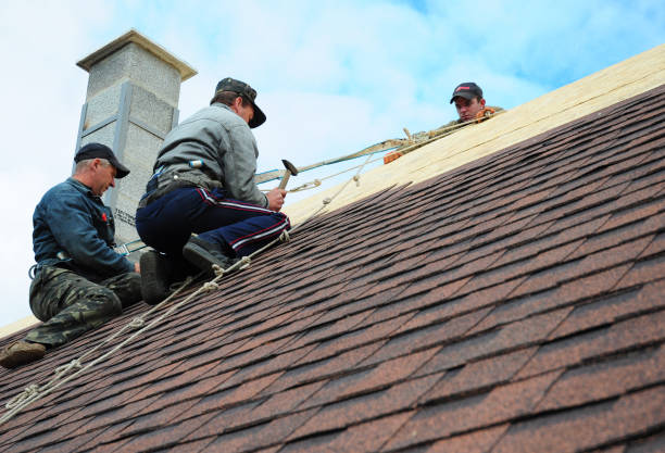 Best Sealant for Roof  in Denver City, TX